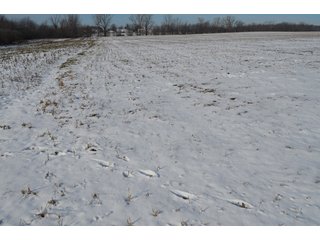 54.7 Acres with 50 tillable and 4.3 wooded.  Surrounded by heavy deer population on CRP land.  Great trophy deer hunting on established food plots.  Hunting tower.

Receive income on tillable acres while abundance of deer hunting on established food plot. - Great Investment Opportunity - Tillable Land, Recreation & Building Site